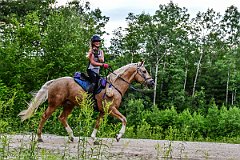 HAM_7185