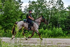 HAM_7188