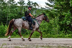 HAM_7191