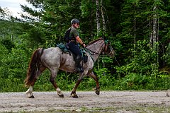 HAM_7193