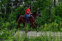 HAM_7194