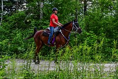 HAM_7195