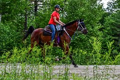 HAM_7196