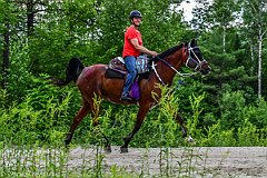 HAM_7197