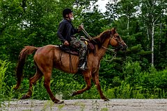HAM_7208