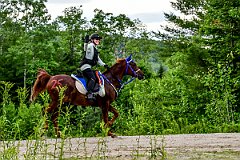 HAM_7221