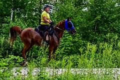 HAM_7230