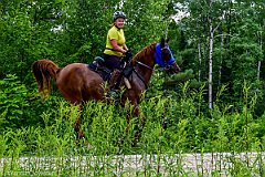 HAM_7232