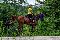 HAM_7236