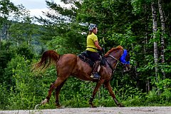 HAM_7238