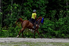 HAM_7239