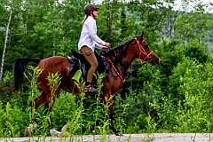 HAM_7245