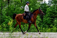 HAM_7263