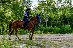 HAM_7270
