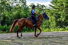 HAM_7271