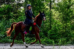 HAM_7279