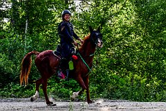 HAM_7280