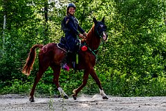 HAM_7281