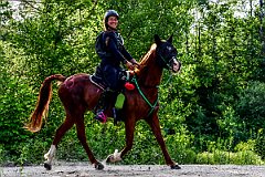 HAM_7282