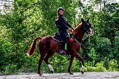 HAM_7283