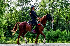 HAM_7285