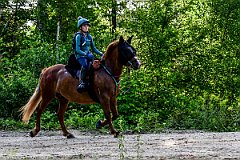 HAM_7288