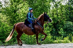 HAM_7291