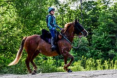 HAM_7292