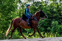 HAM_7293