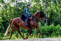 HAM_7294
