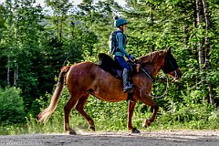 HAM_7298