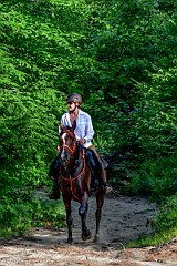HAM_7303