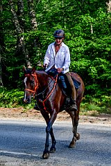 HAM_7307