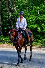 HAM_7308