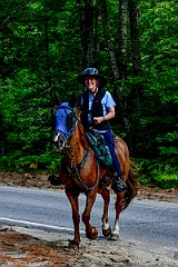 HAM_7321