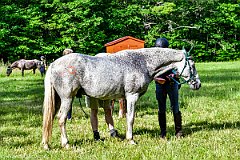 HAM_7367