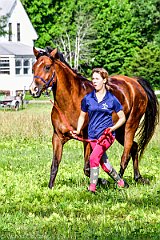 HAM_7372