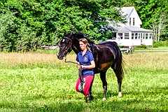 HAM_7383
