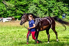 HAM_7385