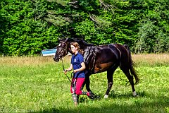 HAM_7387