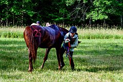 HAM_7409
