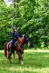 HAM_7424