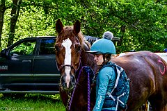 HAM_7435