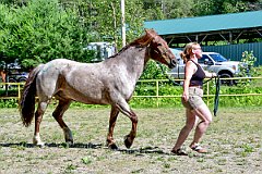 UMF_6567