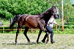 UMF_6586