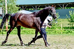 UMF_6588